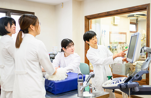 成長に応じた診察担当(サポート体制あり)