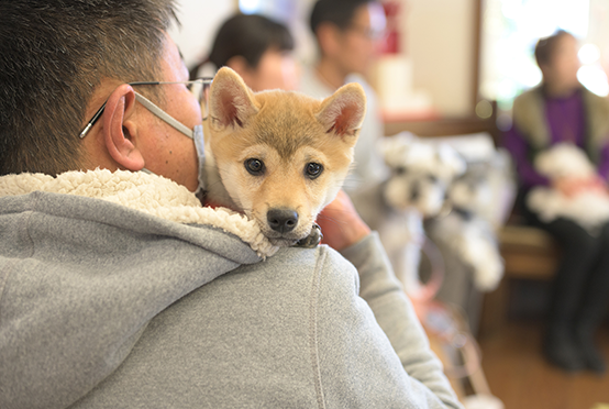 動物を家族に迎えましたら、まずは当院にお連れください。