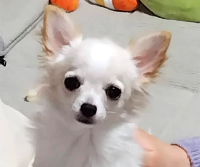 なぎ　ちゃん