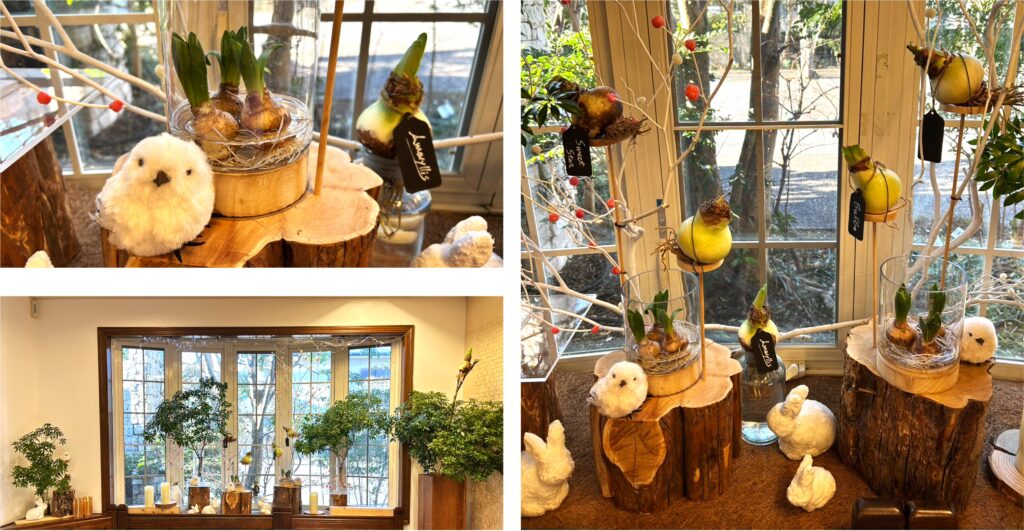 2026年2月のお花