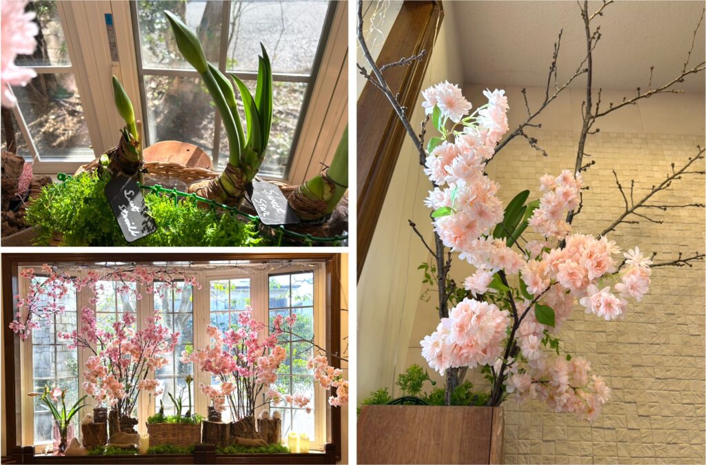 2026年3月のお花