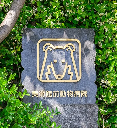 メッセージ